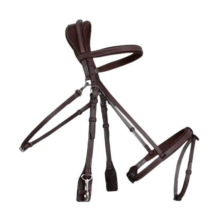 CWD Training Bridle