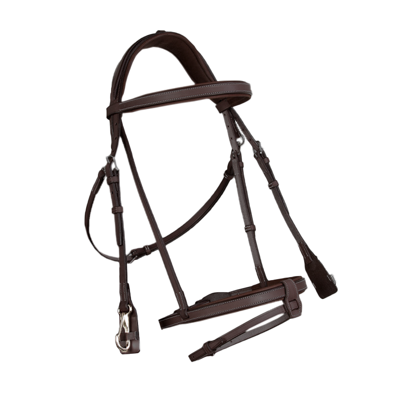 CWD Training Bridle