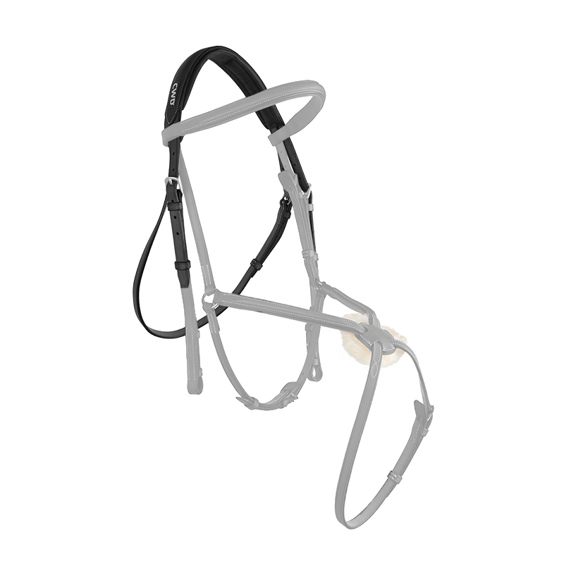 CWD Headpiece