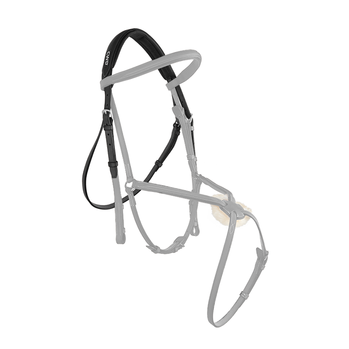 CWD Headpiece