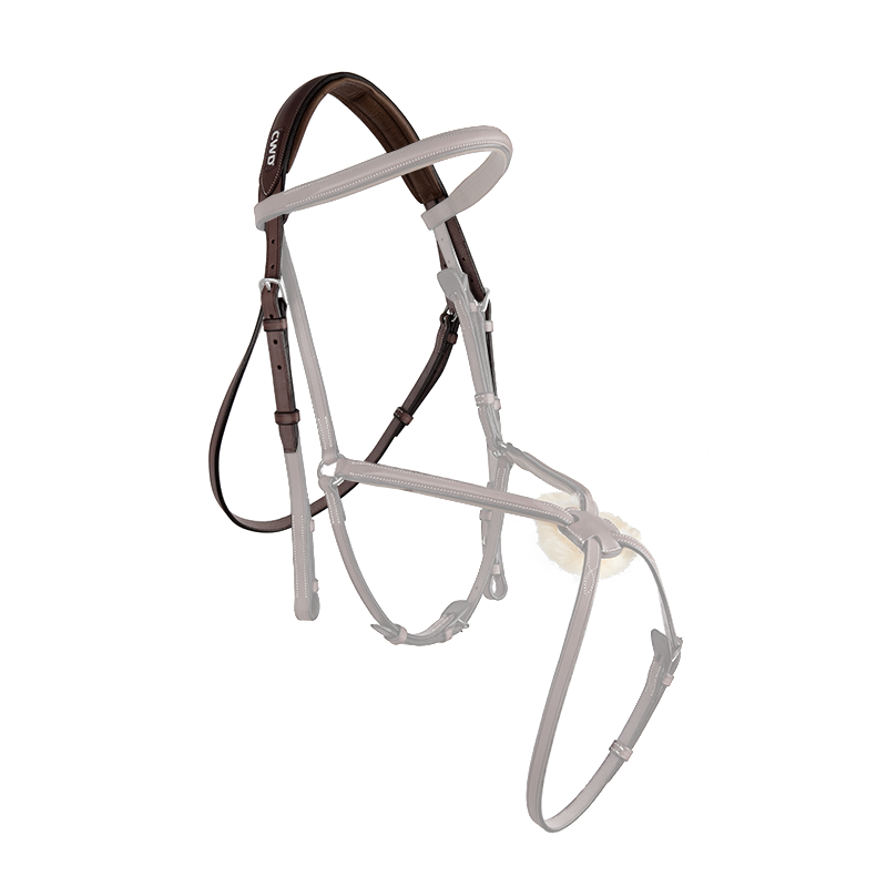 CWD Headpiece