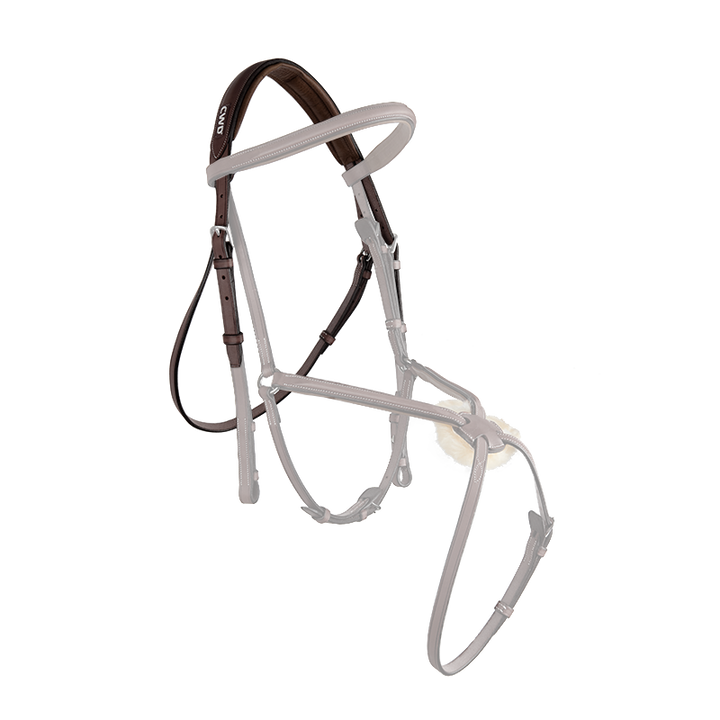 CWD Headpiece