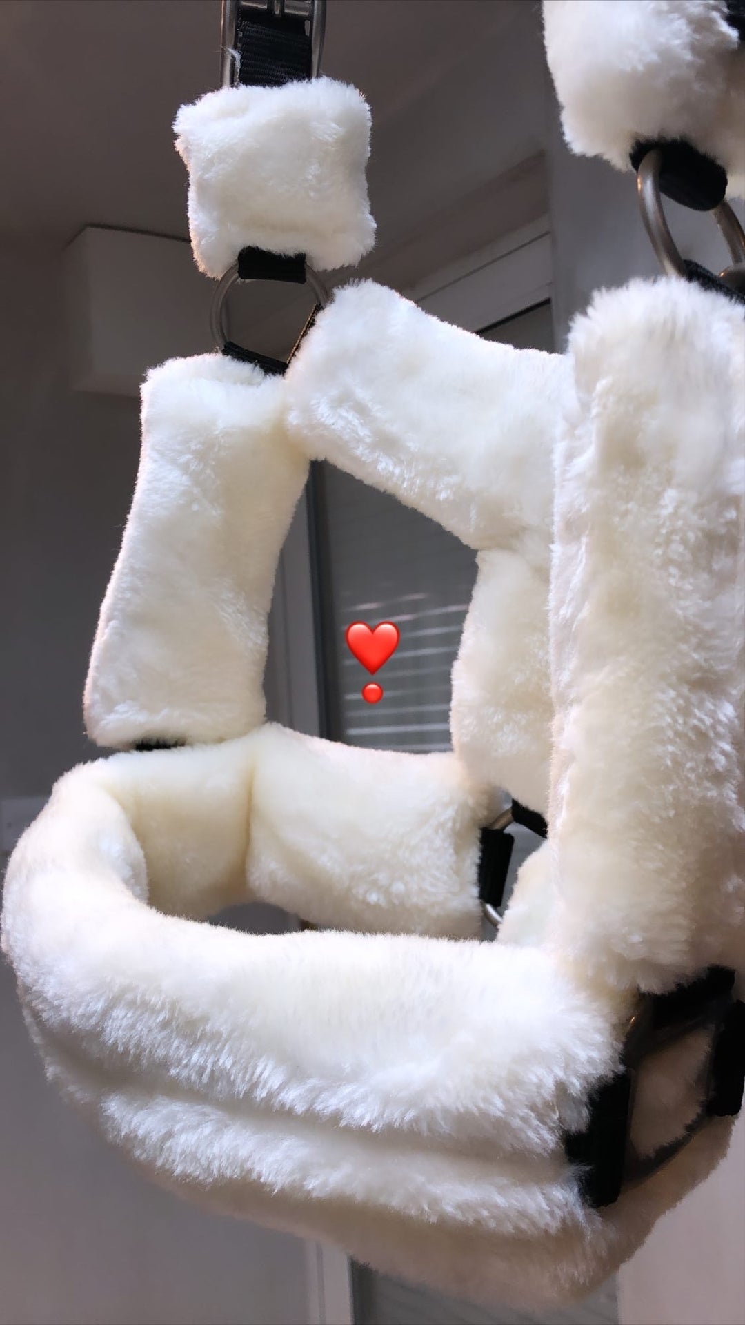 Equijumpltd Teddy Headcollar