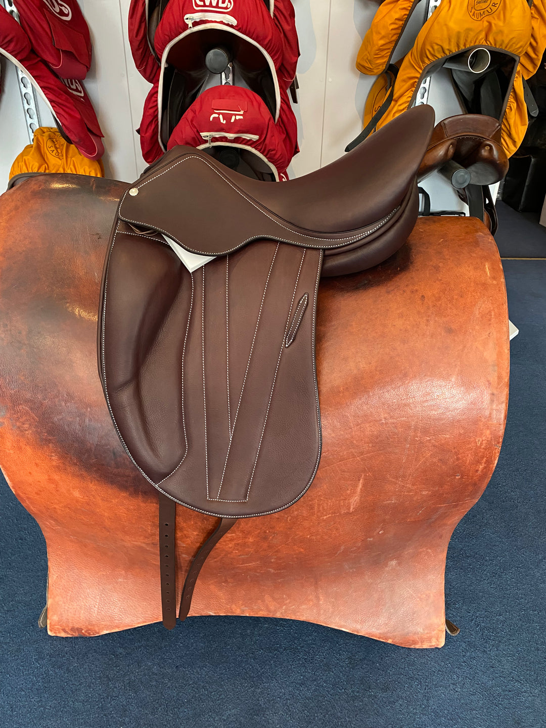 Butet Dressage 17 Inch 2023