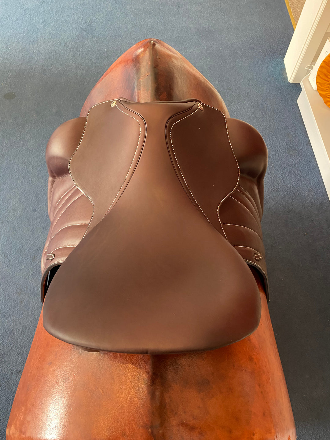 Butet Dressage 17 Inch 2023