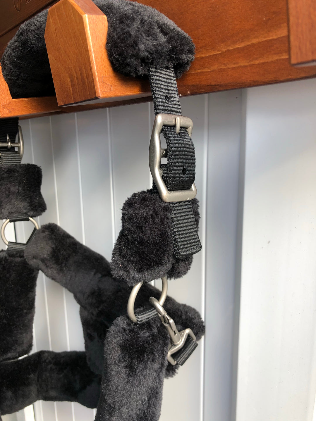 Equijumpltd Teddy Headcollar