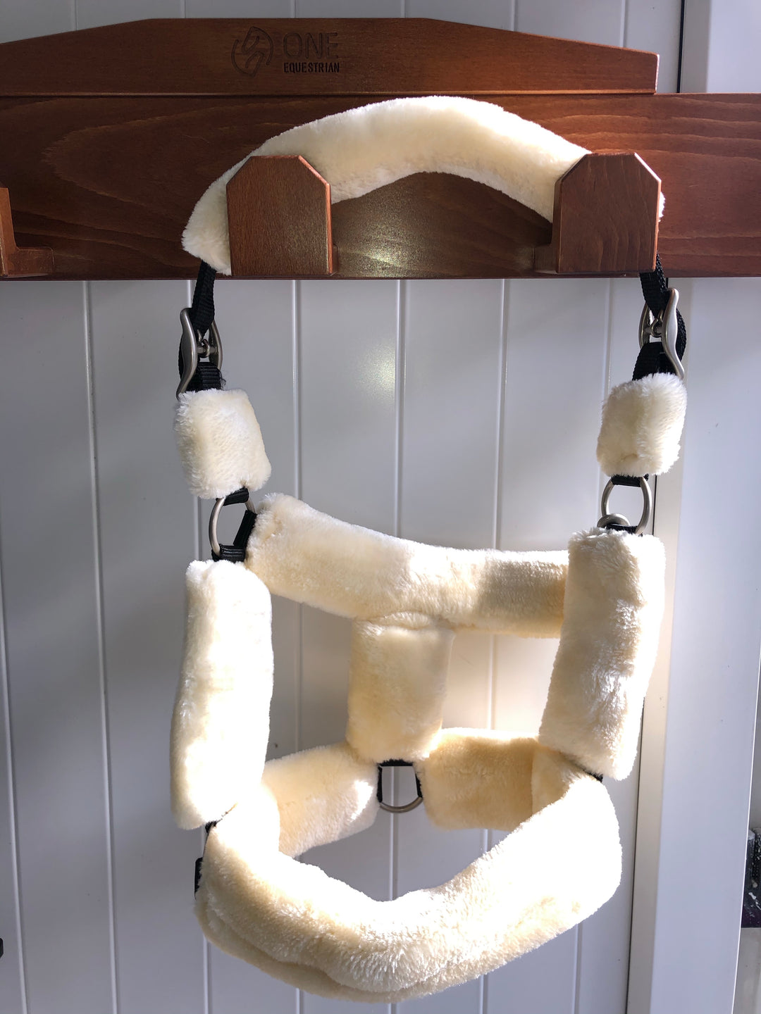 Equijumpltd Teddy Headcollar