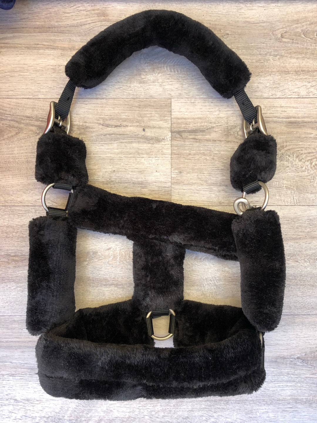Equijumpltd Teddy Headcollar