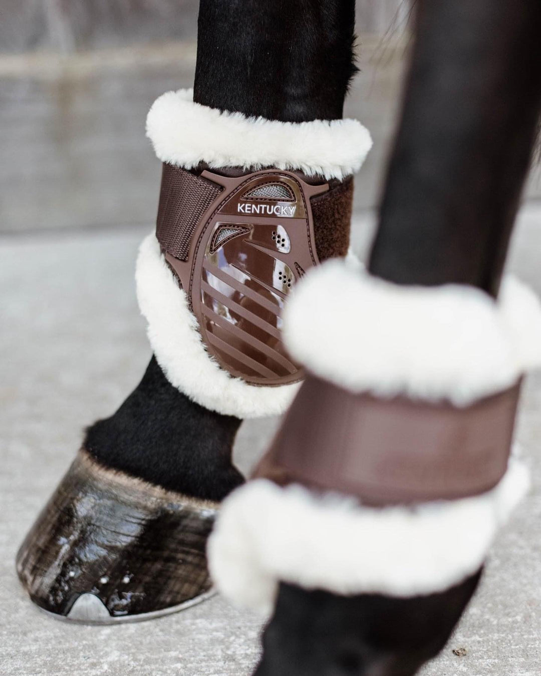 Kentucky Horsewear Vegan Sheepskin Young Horse Fetlock Boots