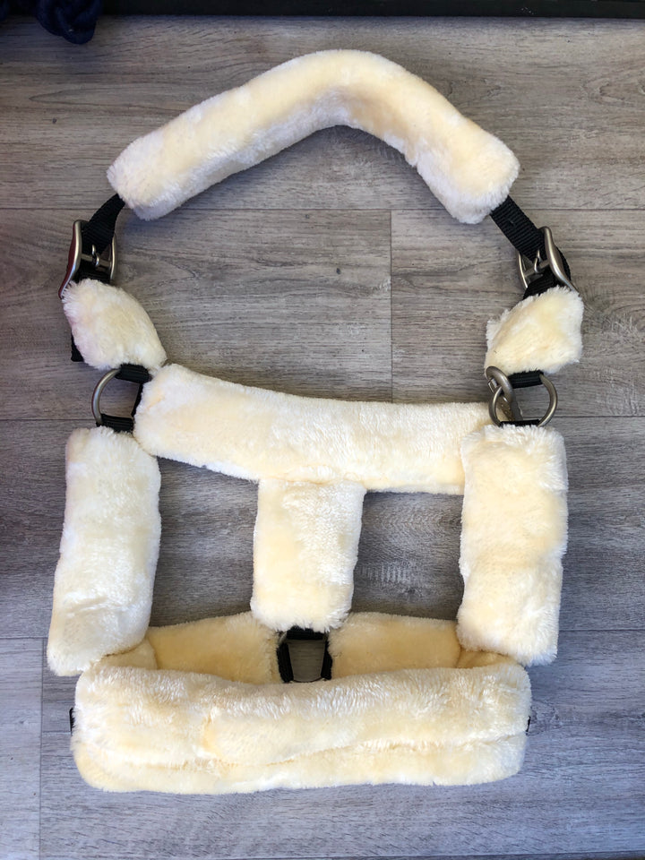 Equijumpltd Teddy Headcollar