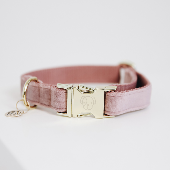 Kentucky Horsewear Dog Collar Velvet