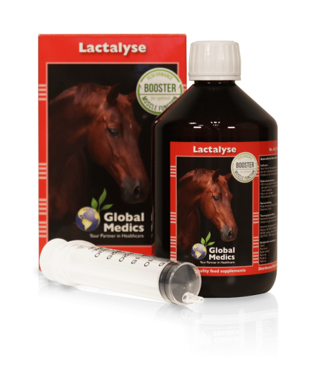 Global Medics Lactalyse
