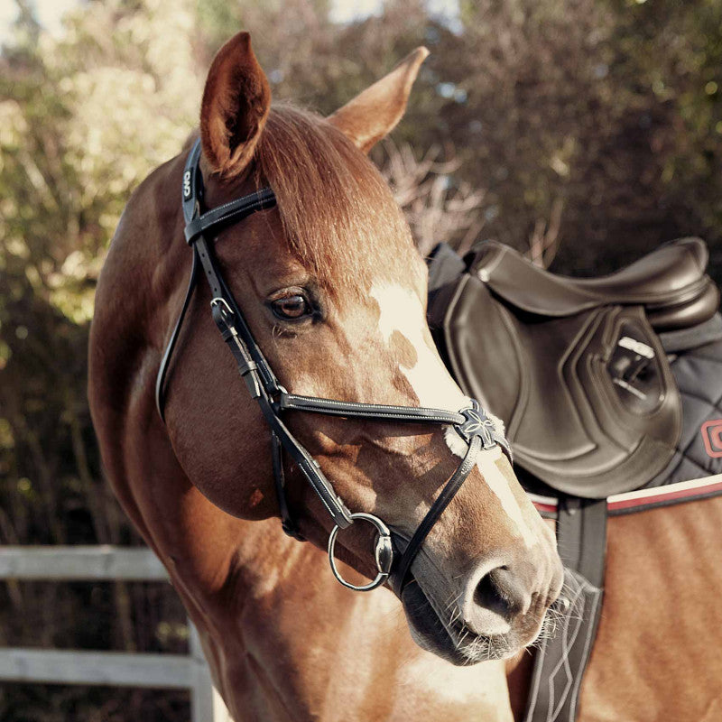 CWD Raised Figure 8 Noseband Bridle