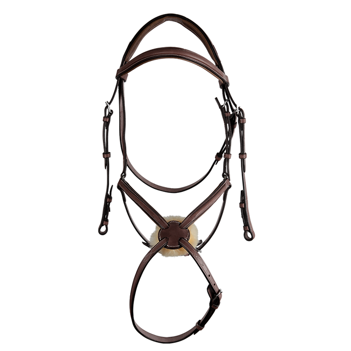 CWD Raised Figure 8 Noseband Bridle