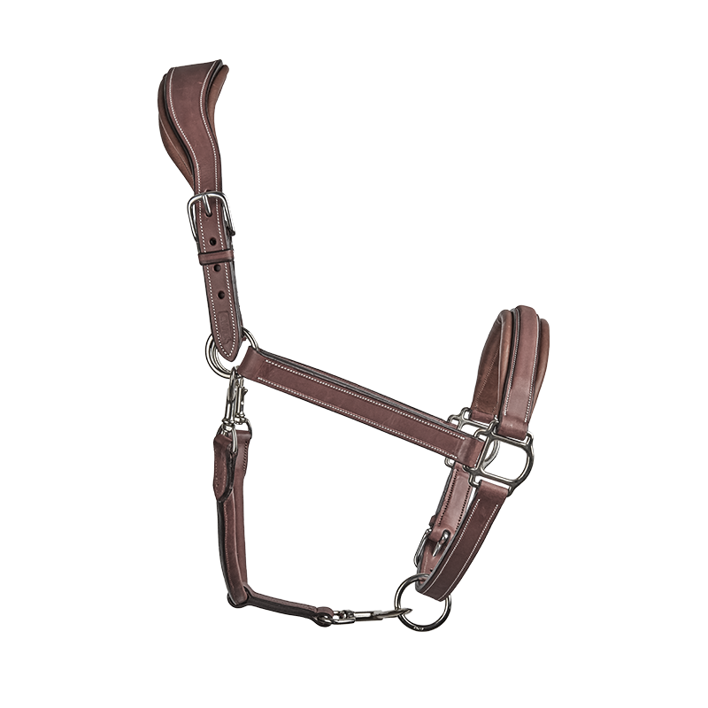 CWD Stable Halter