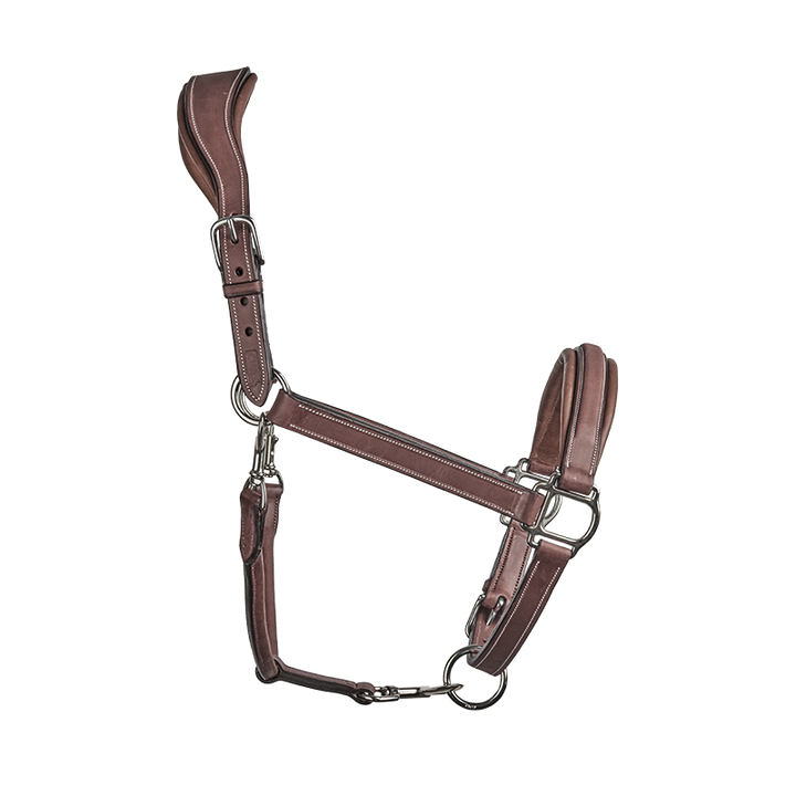 CWD Stable Halter