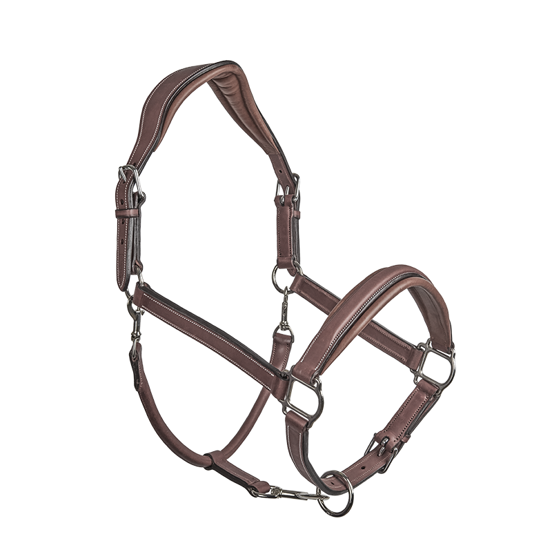 CWD Stable Halter