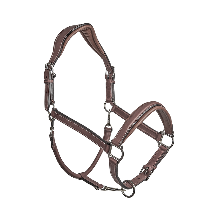 CWD Stable Halter