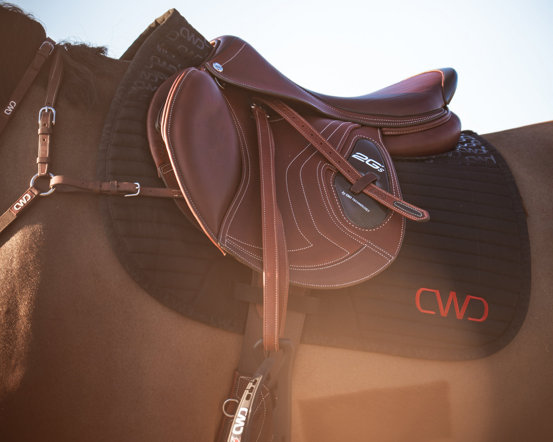 Slipping Saddles: 6 Common Causes and How to Fix Them