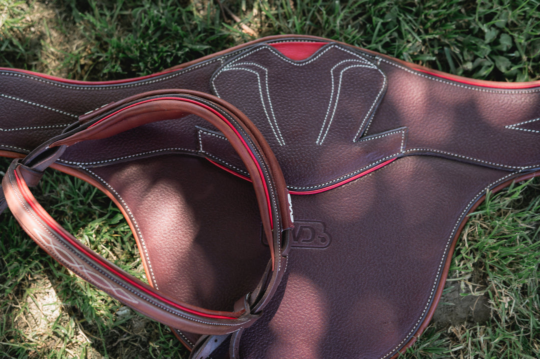 Seasonal Tack Care: Clean Smarter, Protect Better