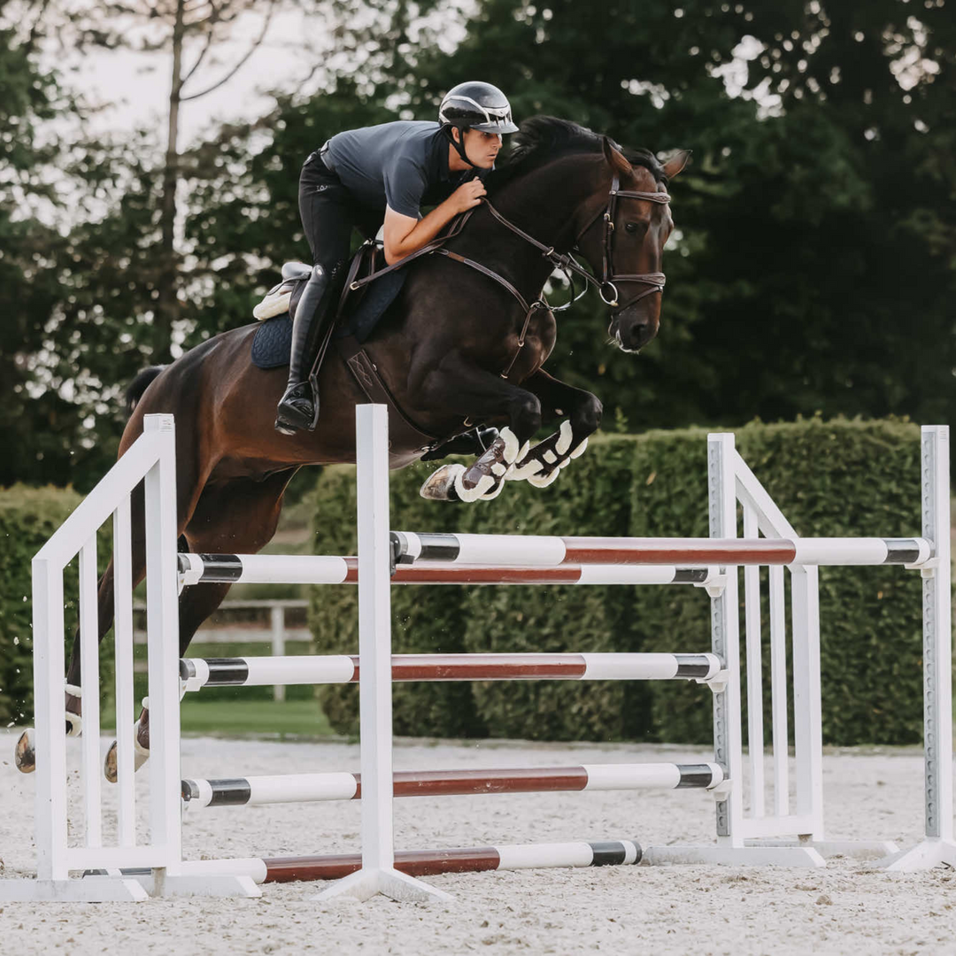 Weight, Fitness & Saddle Fit: How Changes in Your Horse Alter Tack Needs