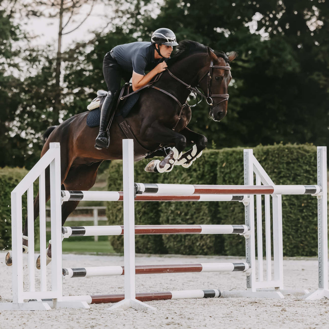 Weight, Fitness & Saddle Fit: How Changes in Your Horse Alter Tack Needs