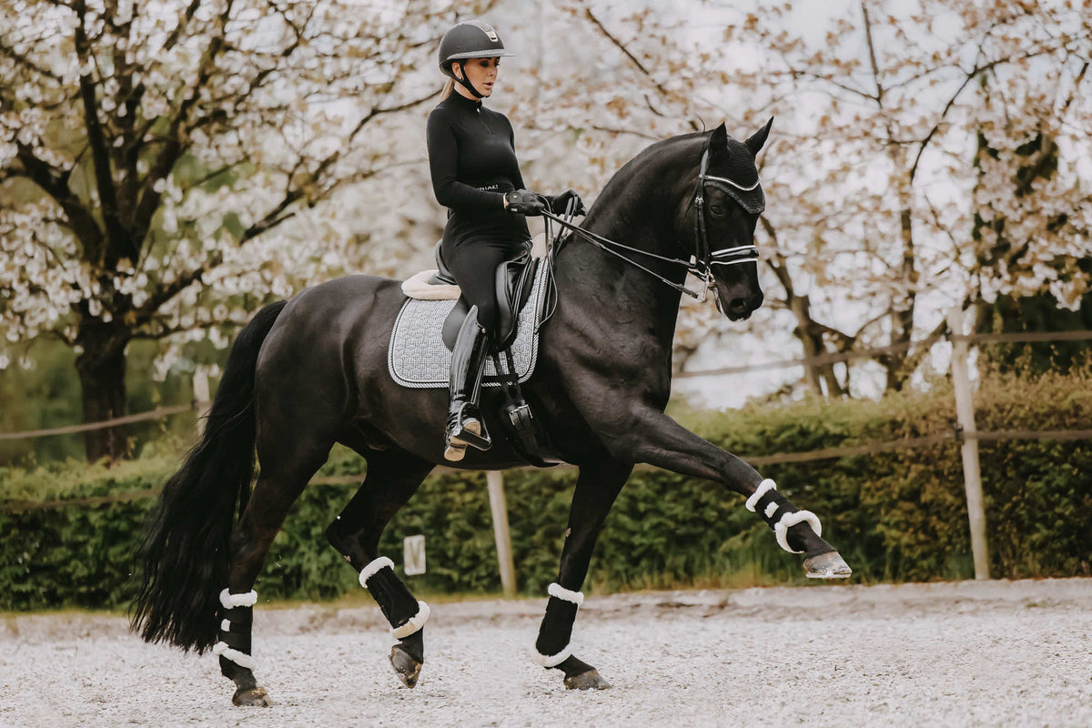 Biomechanics Basics: How Your Position Influences Your Horse’s Way of Going