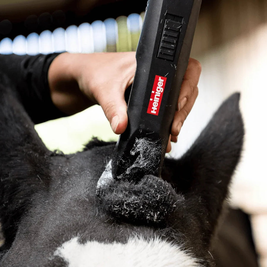 The Ultimate Horse Clipping Guide: Choosing the Right Clippers & Blades