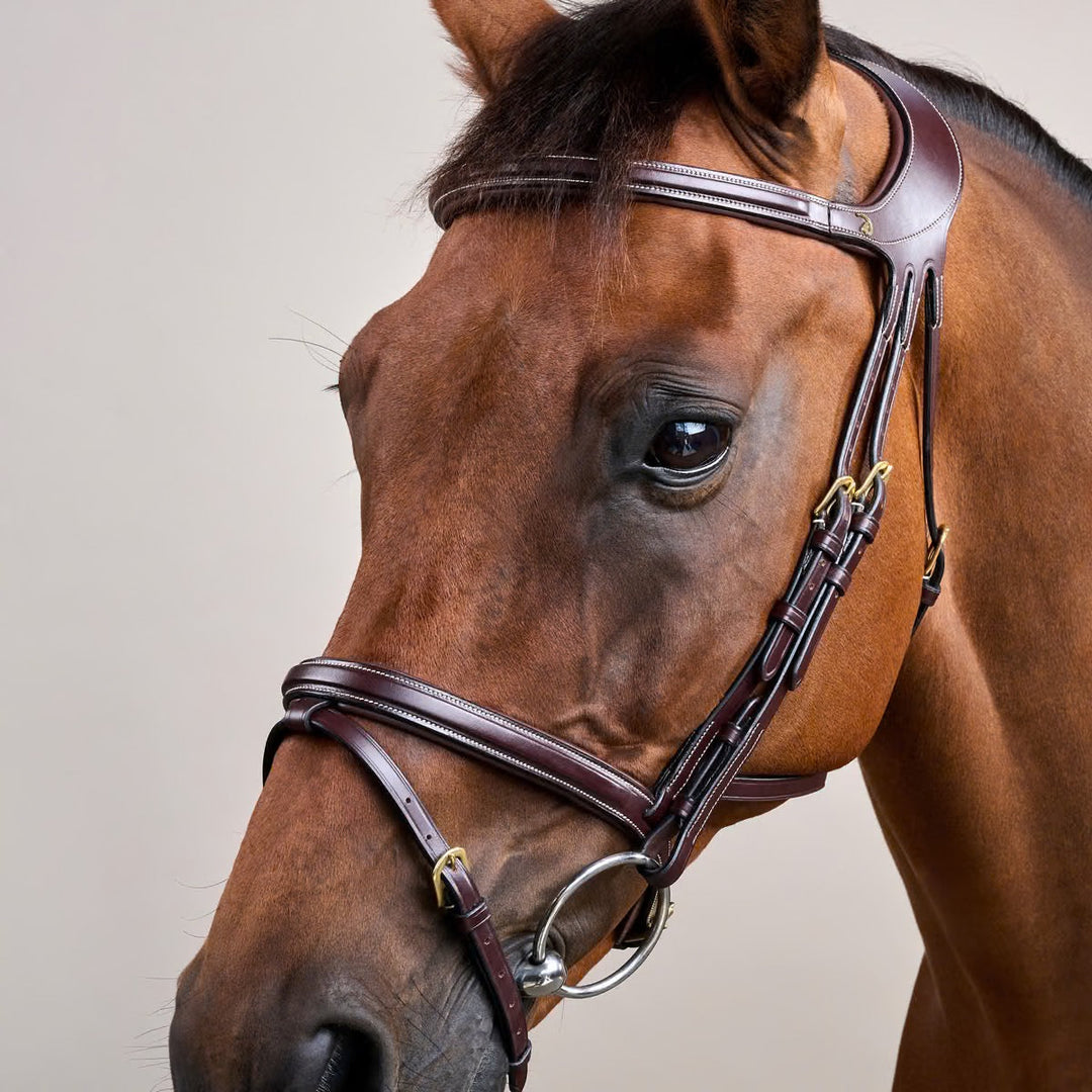 Choosing the Right Noseband for Comfort and Control