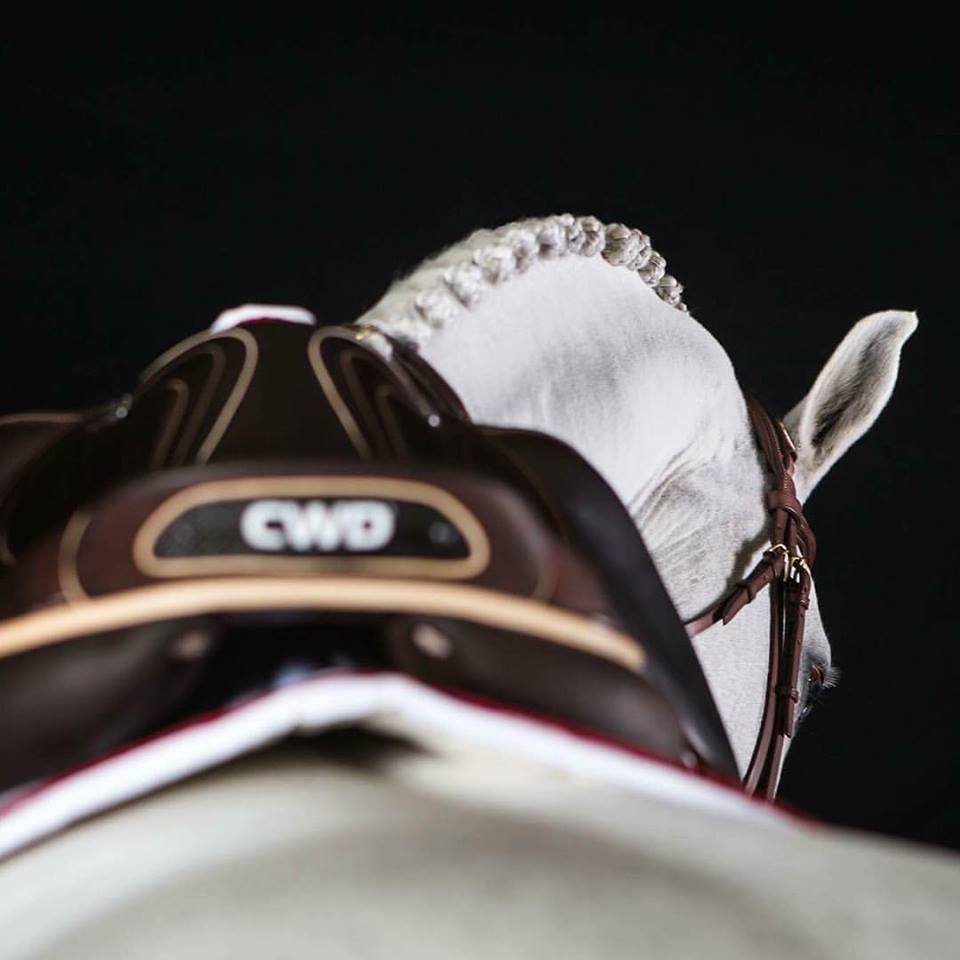 Show Planning 2026: What to Organise Now (So You're Not Rushed Later)