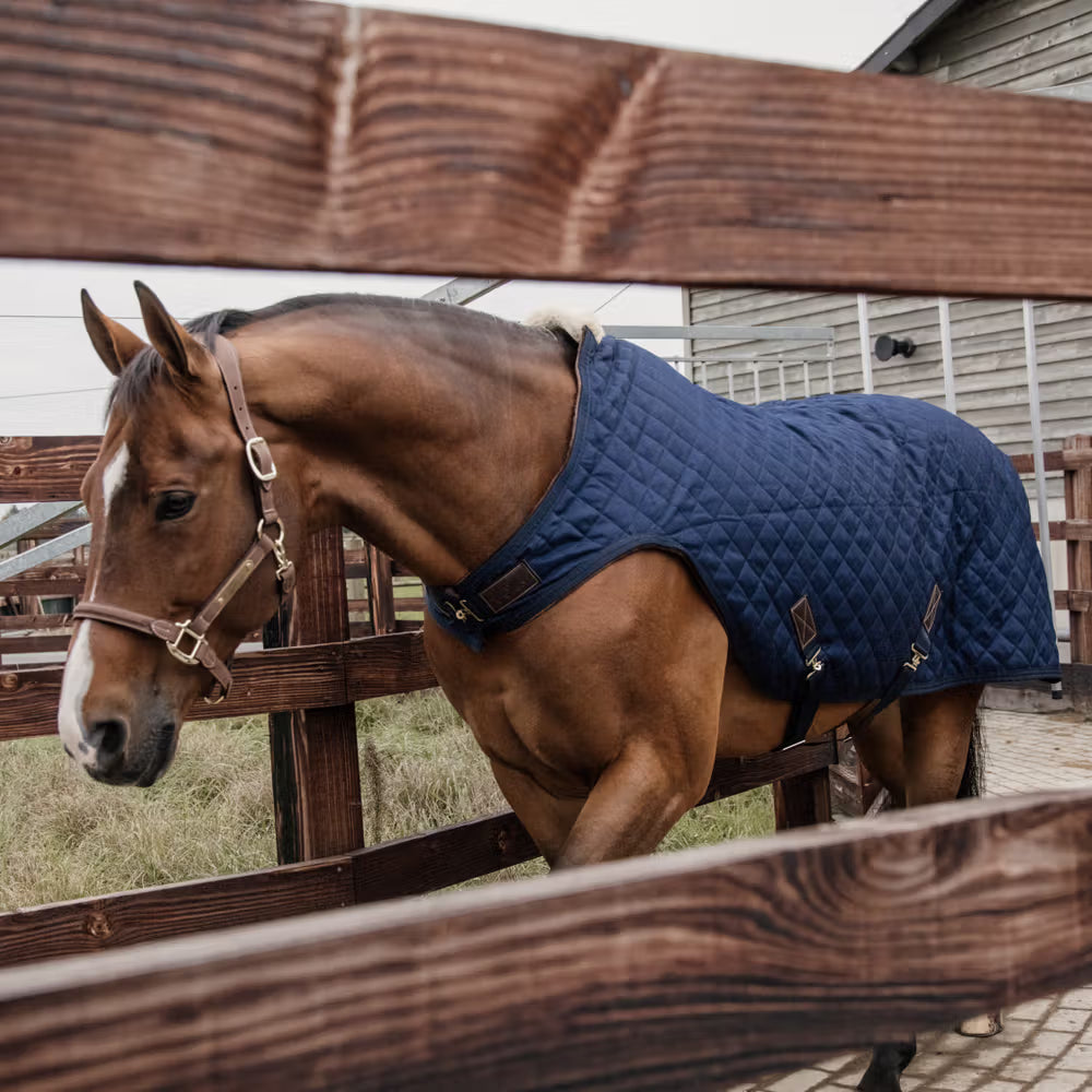 Washing Horse Rugs & Saddle Pads: Tips, Frequency, and Why It Matters