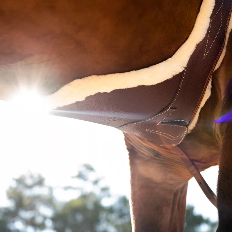 The Ultimate Girth Buying Guide