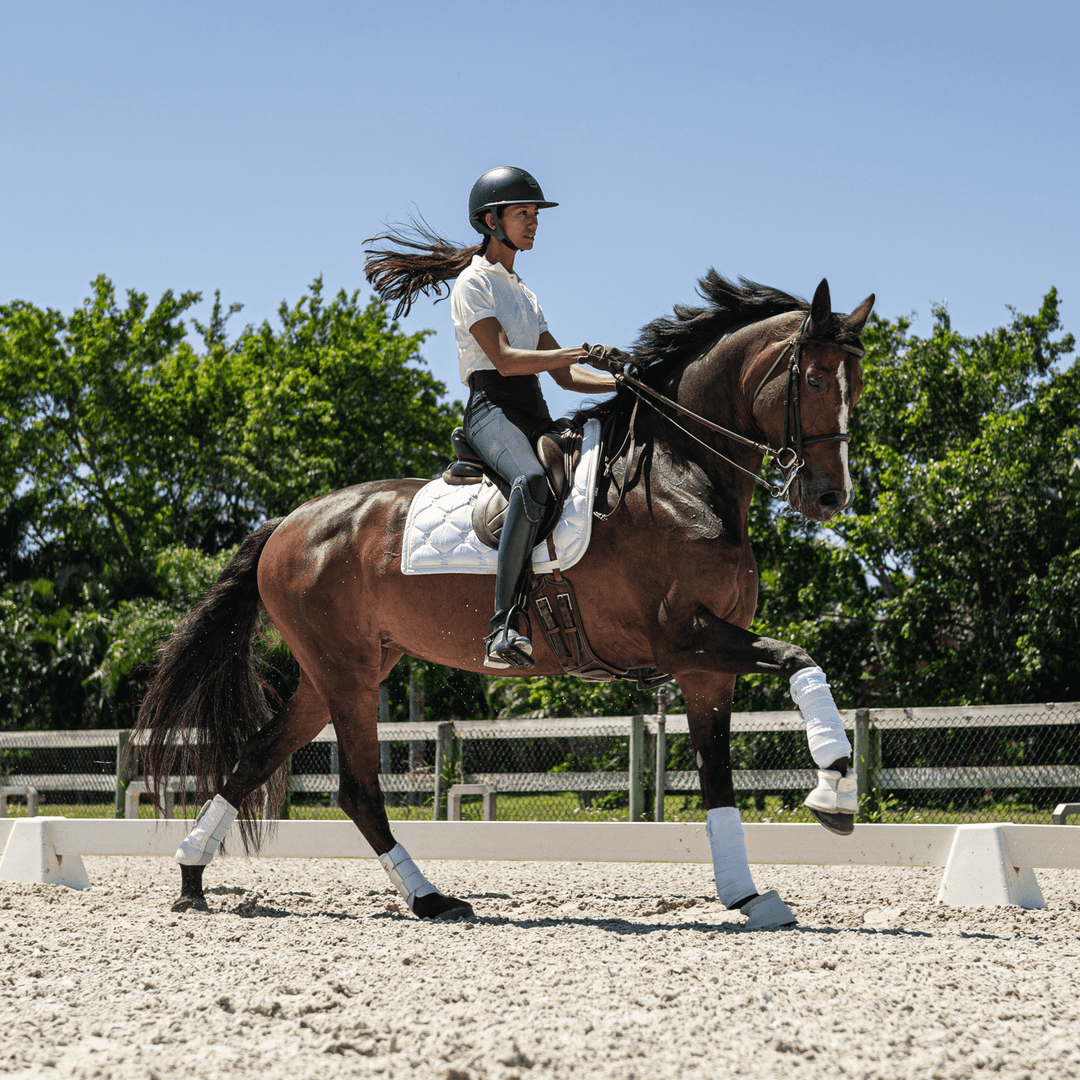 How Long Does It Take To Get Fit Post-Holiday Before The Show Season?