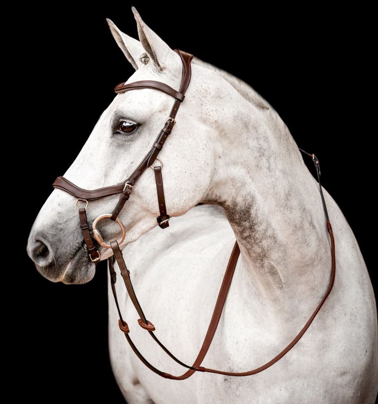 Pressure, Force & Friction: What Your Horse’s Tack Is Really Telling You