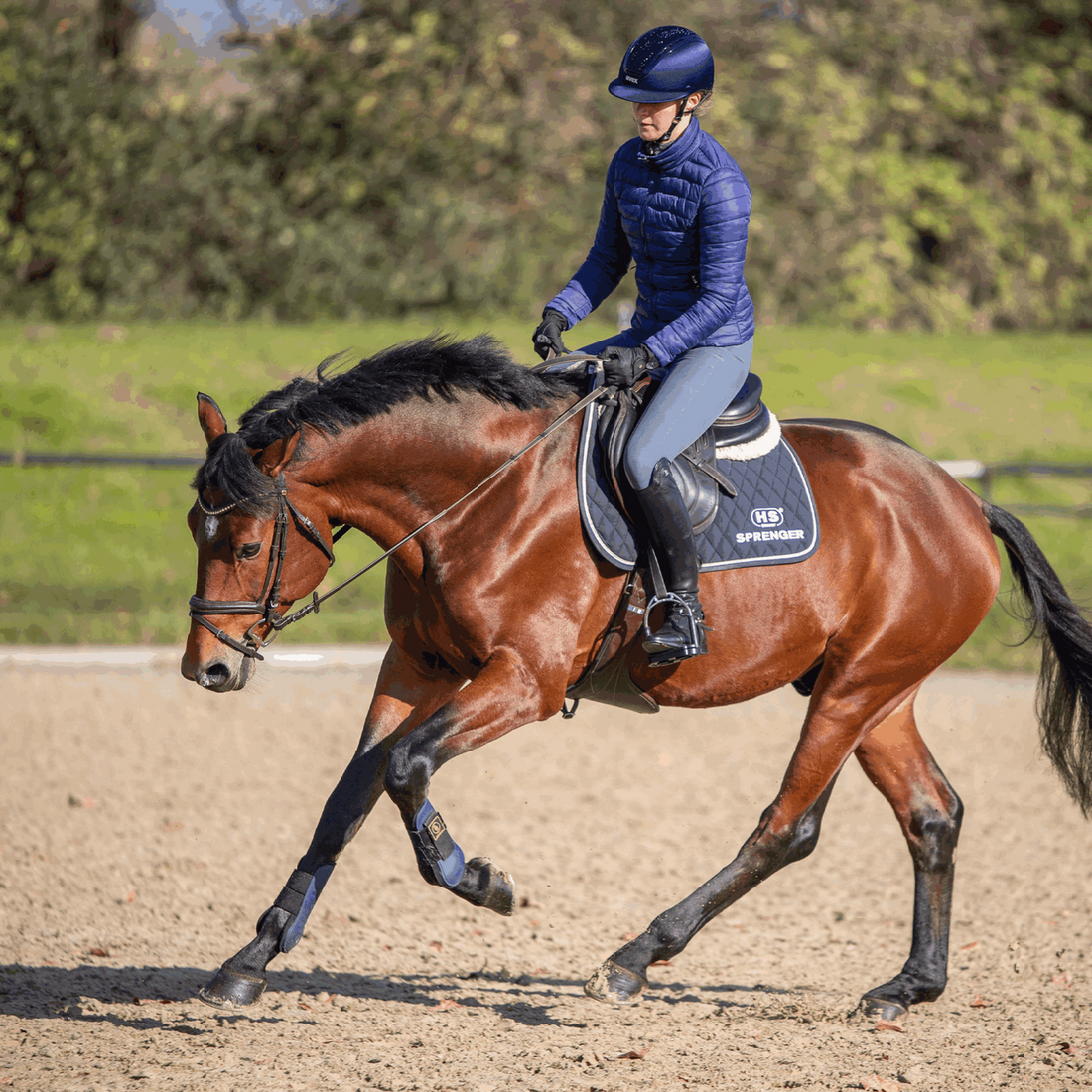 Prevention: The Big 5 Habits That Keep Riders in the Saddle