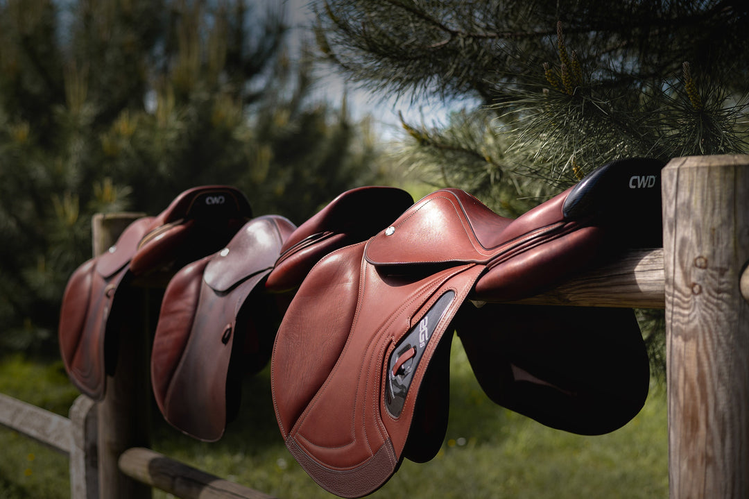 Top 5 tack essentials for new horse owners