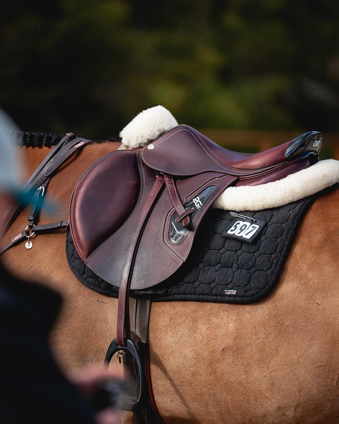 CWD - Used Saddles