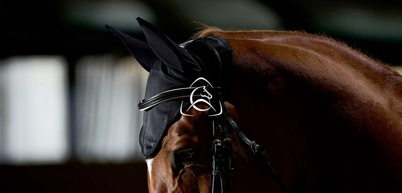 Acavallo Horse Tack