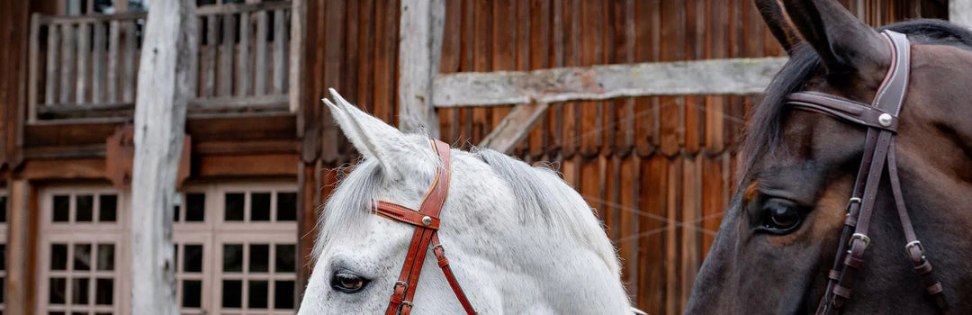 Noseband & Bridle Butet