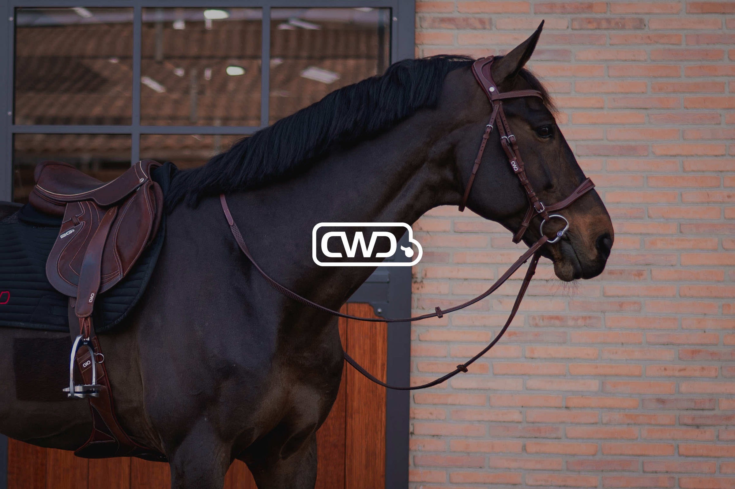 Horse Tack CWD Sellier