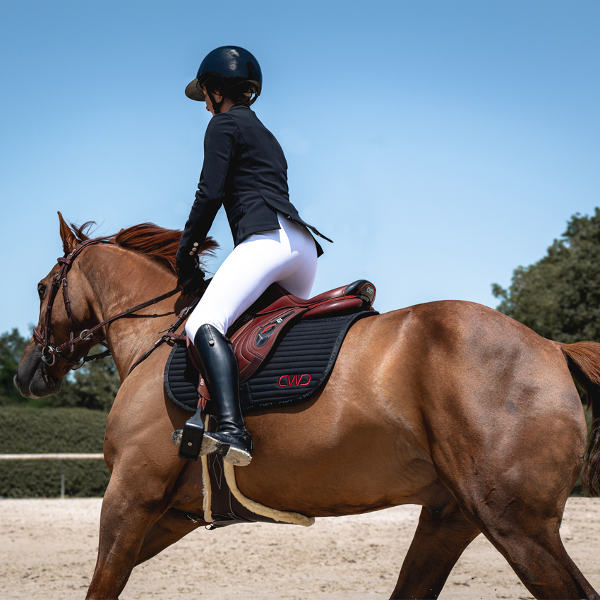 New Saddles & Used Saddles Cwd Sellier