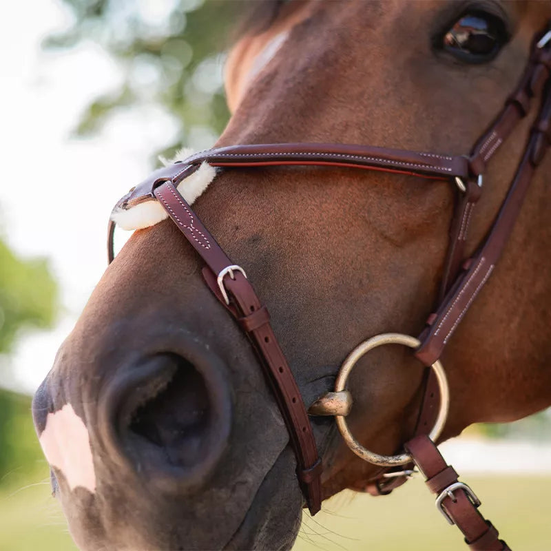 Bridles & Noseband Cwd Sellier
