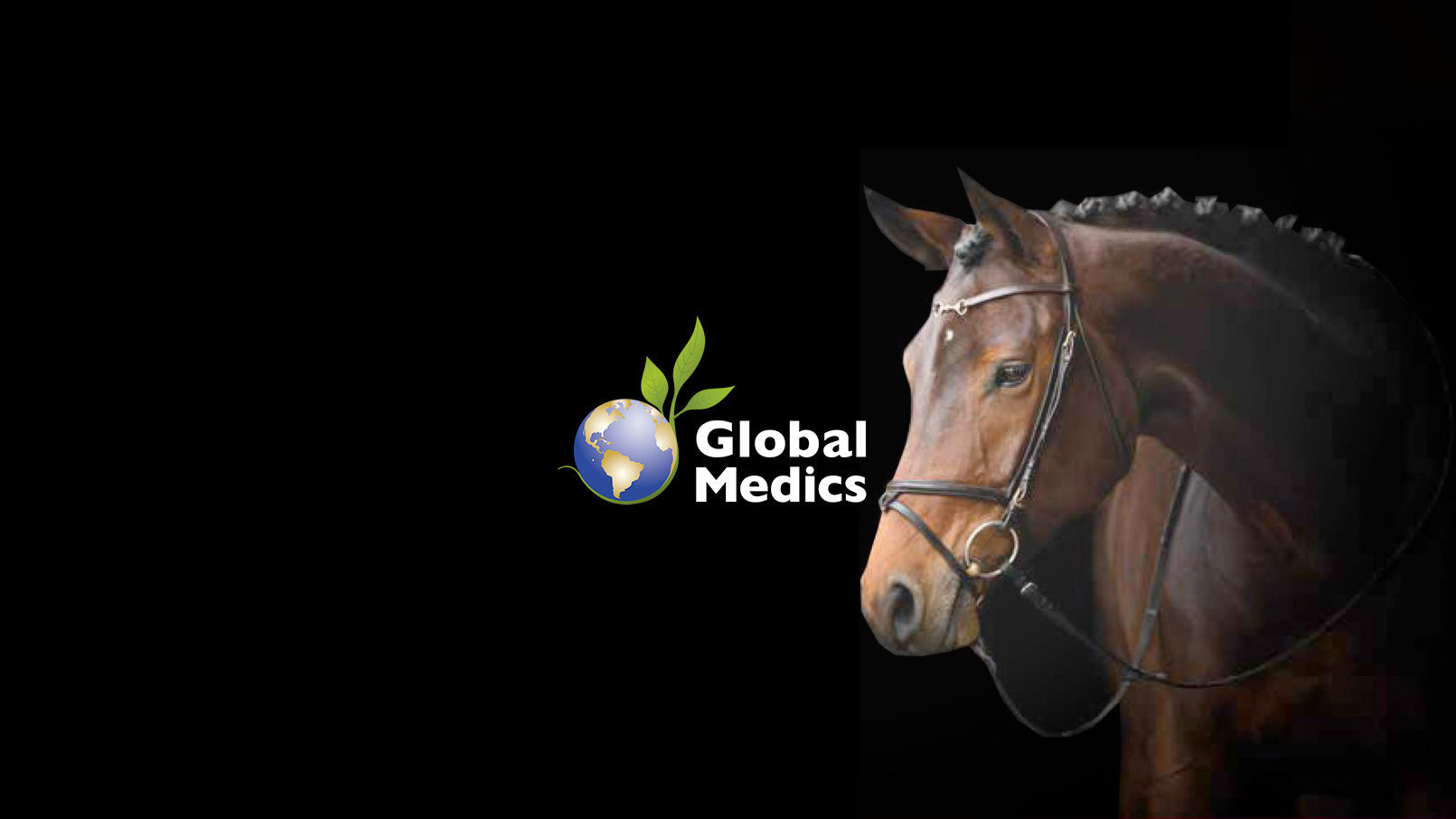 Horse Supplements Global Medics