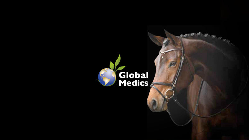 Horse Supplements Global Medics