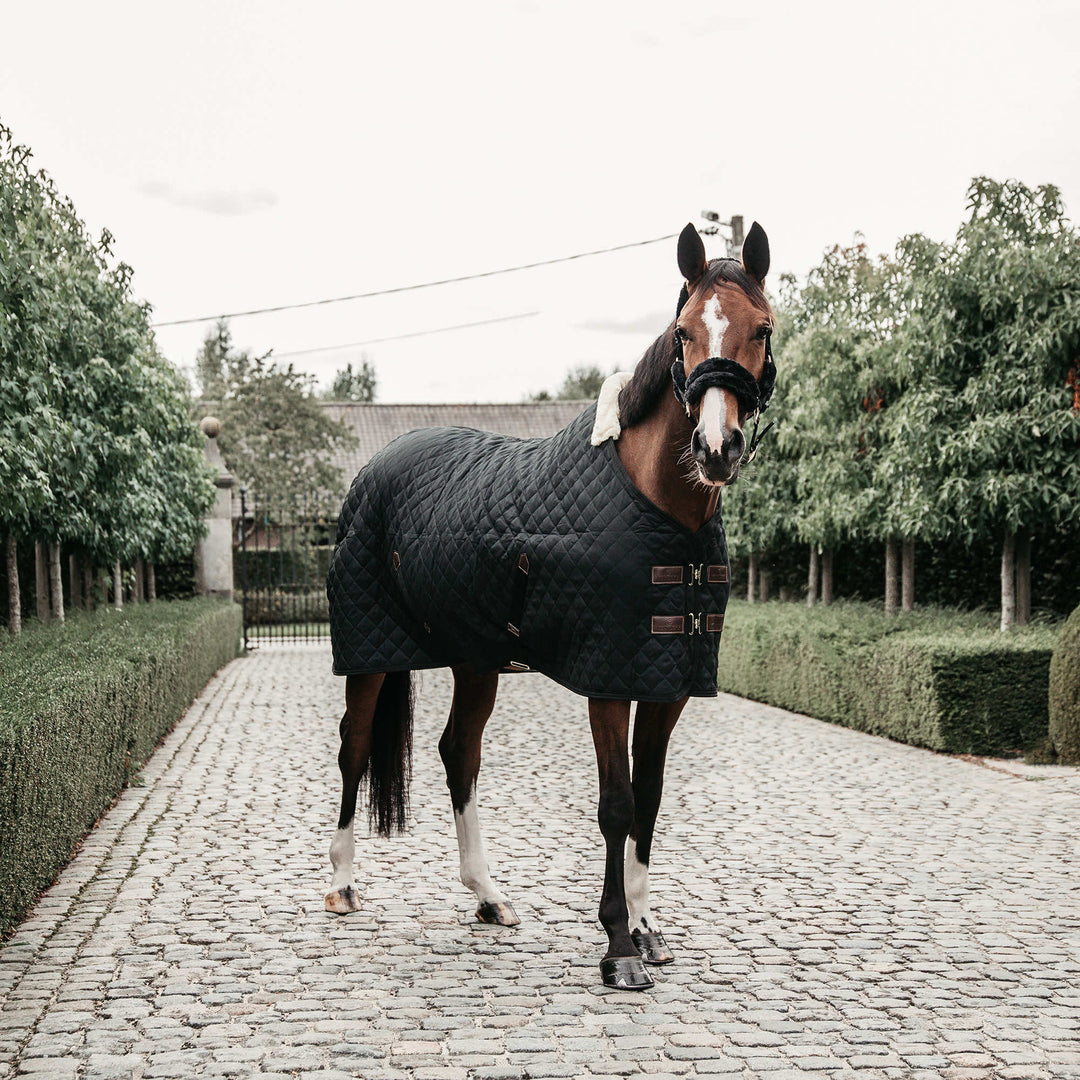 Horse Apparel