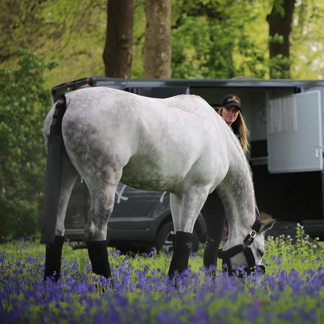 Horse Show & Travel Essentials