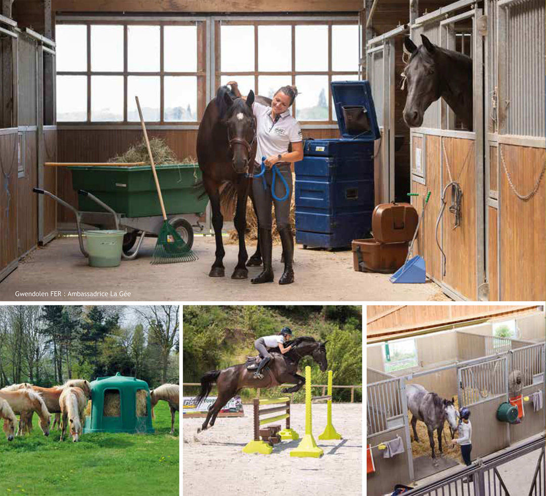 Equestrian Equipment La Gee