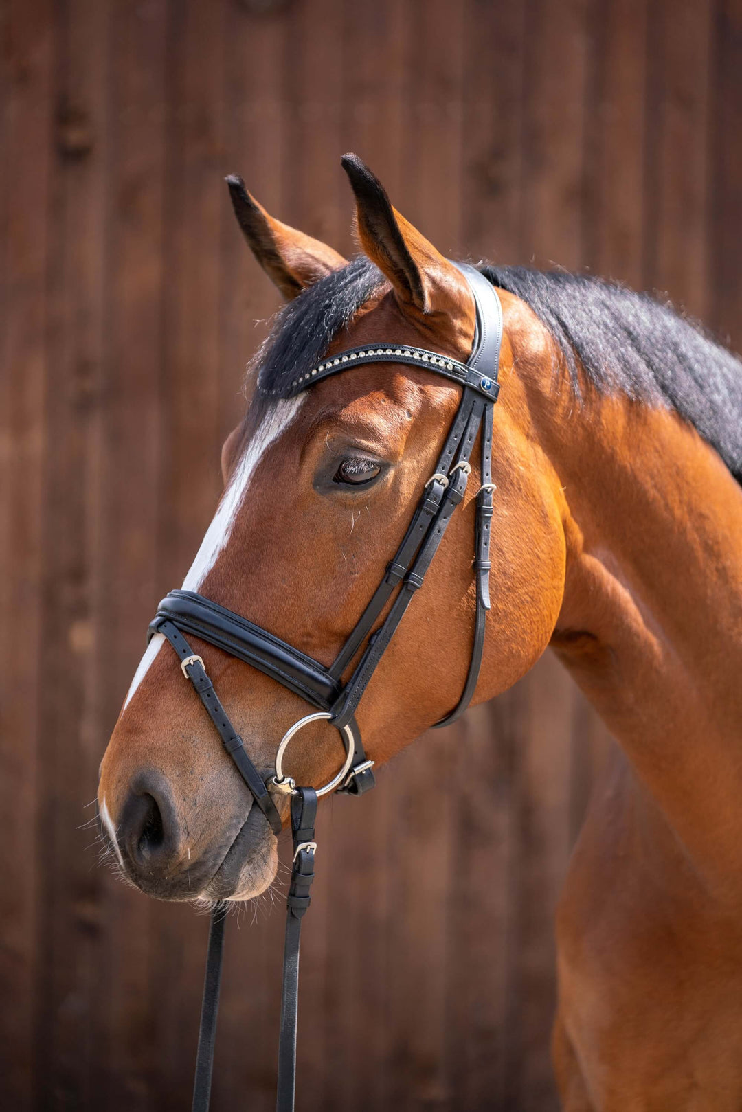 Horse Bits Nathe