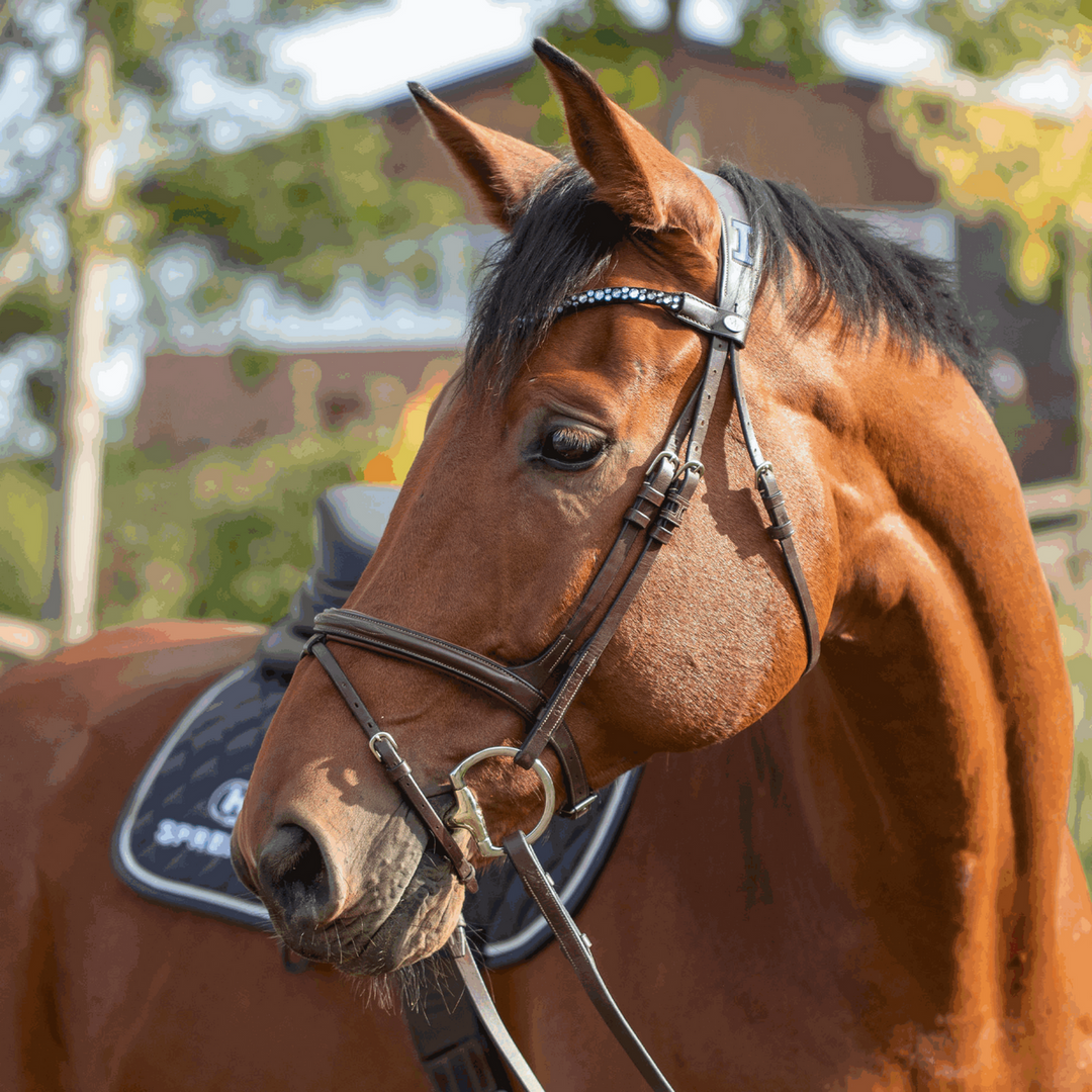 Horse Bits Sprenger
