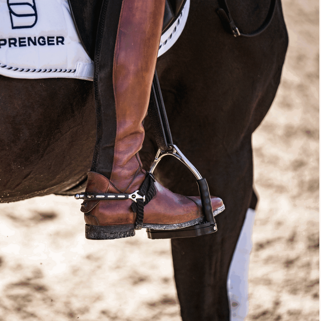 Horse Riding Spurs Spenger